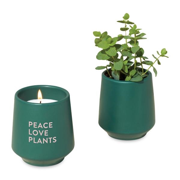 candle and plant combo kit 